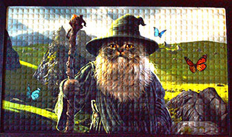 17 5/8" x 19 1/2" Catdolf doormat