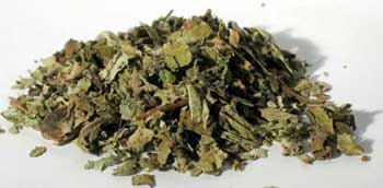 Dried coltsfoot leaf from Wolf Moon Azure, perfect for herbal remedies, buy coltsfoot leaf online