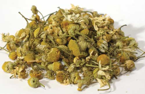 Dried Egyptian chamomile flowers in a natural pile, perfect for herbal teas and soothing remedies