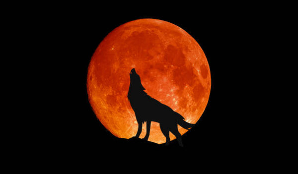 www.Wolfmoon.store
