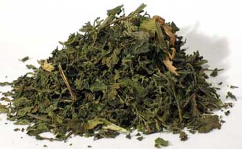 Nettle "Stinging)"Leaf Cut 2oz (Urtica dioica)