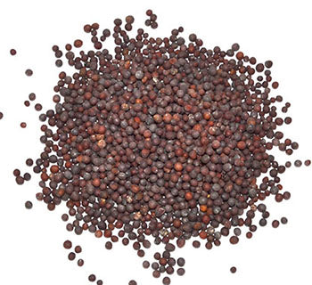 Brown mustard seed 2oz pack by Wolf Moon Azure offering rich flavor for cooking and seasoning