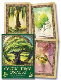 Celtic Tree Oracle deck featuring illustrated cards and a beautifully designed box for divination