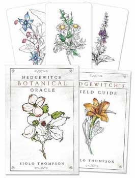 Hedgewitch Botanical Oracle deck featuring illustrated cards and a field guide by Siolo Thompson