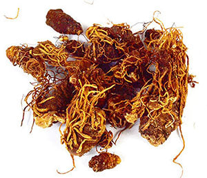 Beth root whole for ritual use, dried and bundled, perfect for spiritual practices and herbal remedies