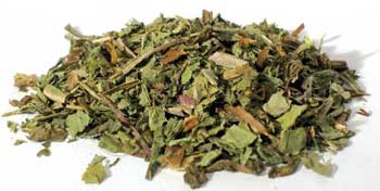 Dried dandelion leaf dried from Wolf Moon Azure for herbal teas and natural remedies