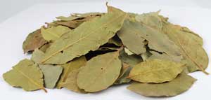 Whole bay leaves for spells, harvested from Wolf Moon Azure, perfect for magical rituals and culinary use