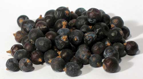 Whole juniper berries for incense from Wolf Moon Azure, rich in aroma and ideal for rituals