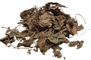 Dried whole patchouli leaf for rituals from Wolf Moon Azure, perfect for spiritual practices and offerings