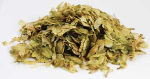 Dried whole hops flowers for ritual use, harvested by Wolf Moon Azure for herbal practices