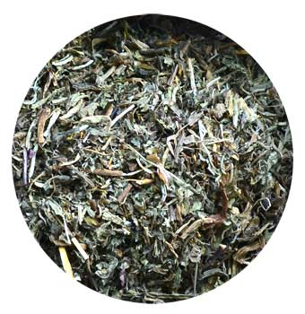 Dried wild lettuce leaf cut from Wolf Moon Azure, perfect for herbal teas and natural remedies