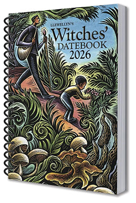 Wolf Moon Azure book listing showing Llewellyn witch planner 2025 with spiral bound Witches Datebook 2026 cover art