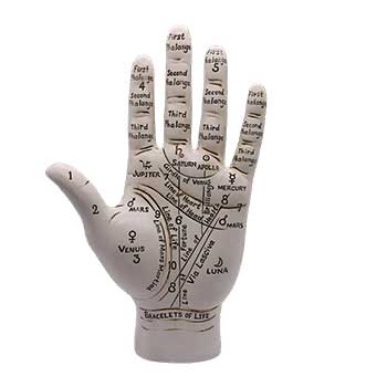 Palmistry hand model with clear lines and markings for detailed palm reading analysis