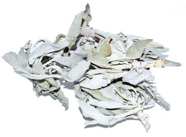 White sage bundle for cleansing, dried leaves perfect for smudging rituals and energy purification