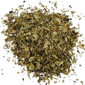 Wildcrafted blackberry leaf herb in loose dried form for herbal tea and natural remedies