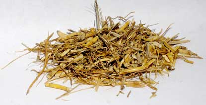 Dried witches grass cut herb for spells sold by Wolf Moon Azure in a natural, loose form